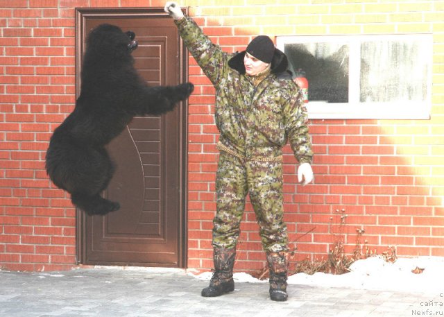 Фотография № 84734