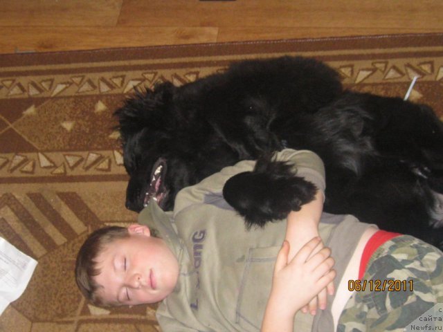 Фото: [d10928]Игорь