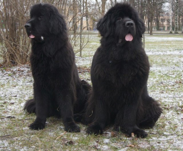 Фотография № 84745