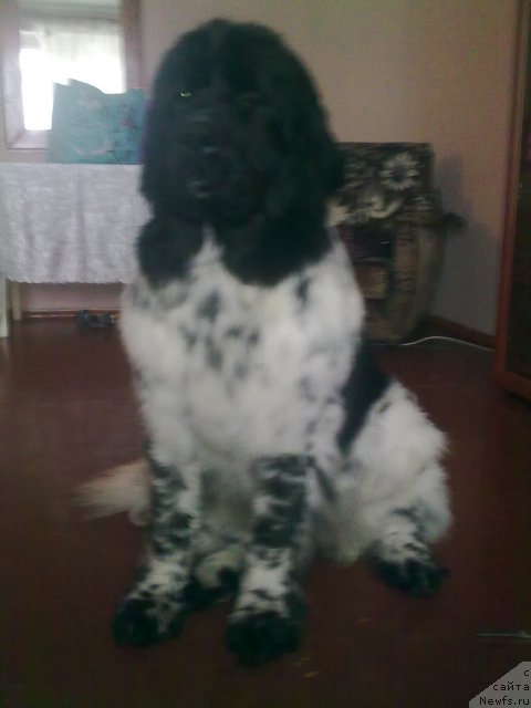 Фотография № 84768