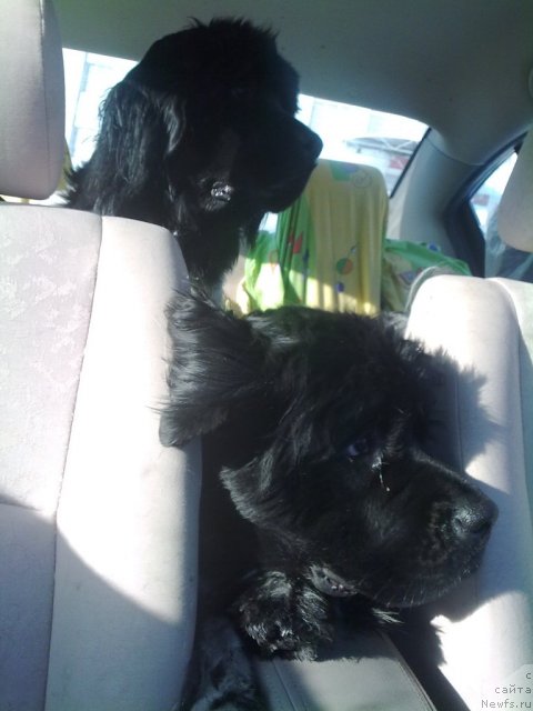 Фотография № 84769