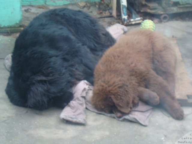 Фотография № 84782