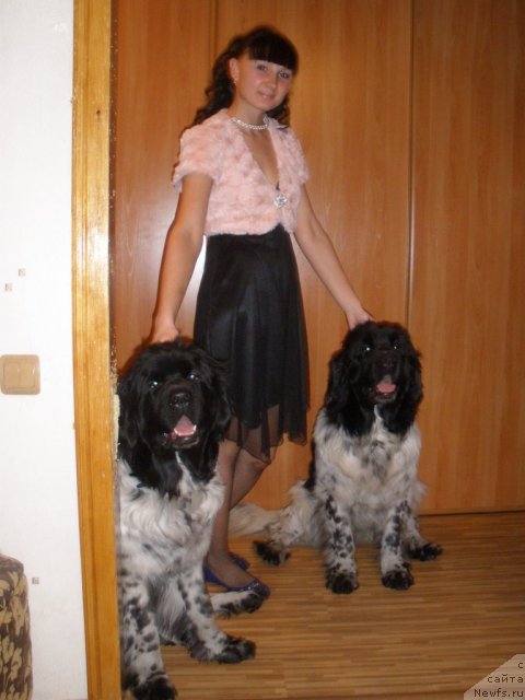 Фотография № 84790