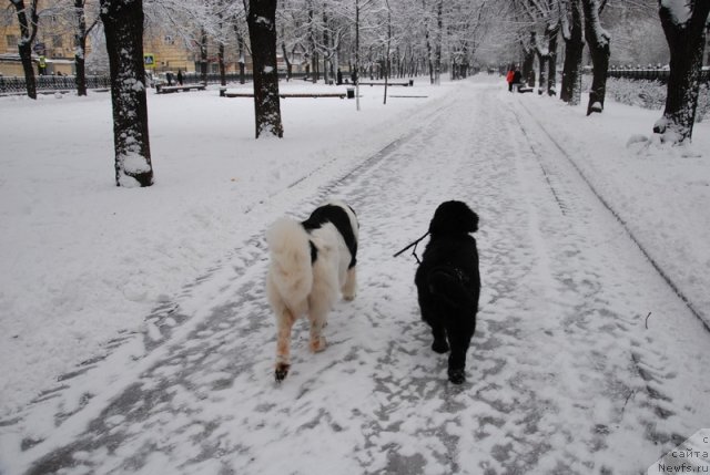 Фотография № 84812