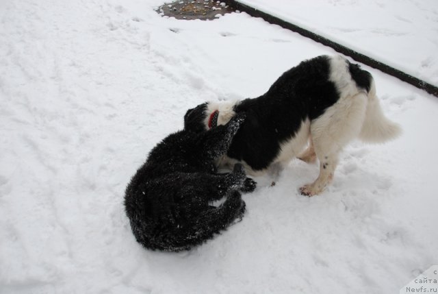 Фотография № 84814