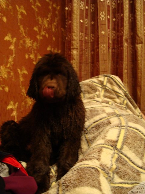 Фотография № 84986