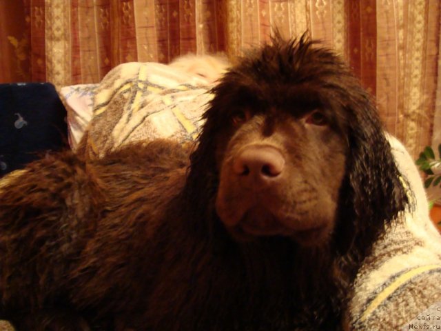 Фотография № 84988