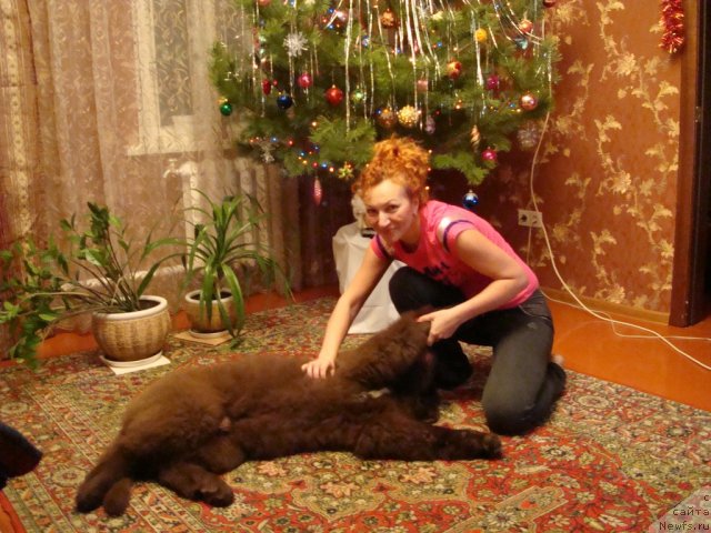 Фотография № 84995