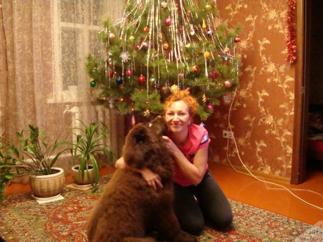 Фотография № 84996