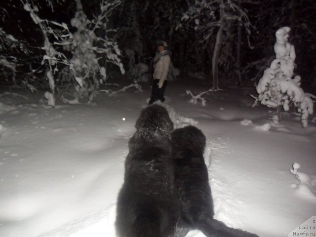 Фотография № 85000