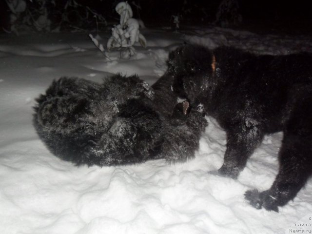 Фотография № 85004