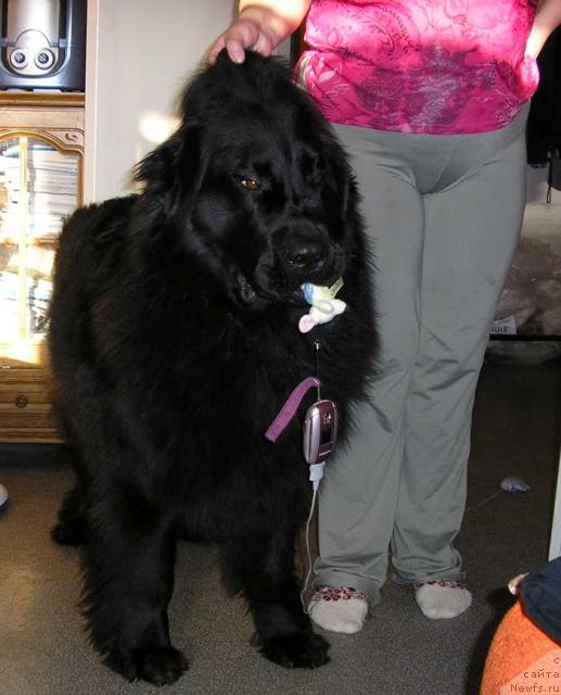 Фотография № 8501