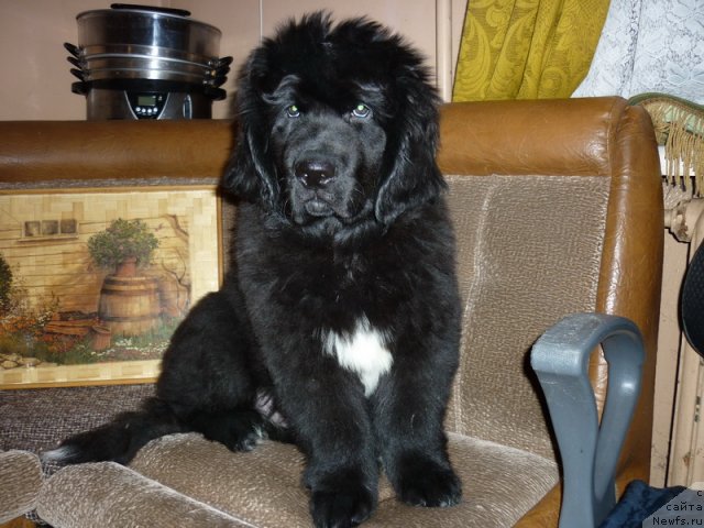 Фото: Sergey Krasnov (Сергей Краснов)