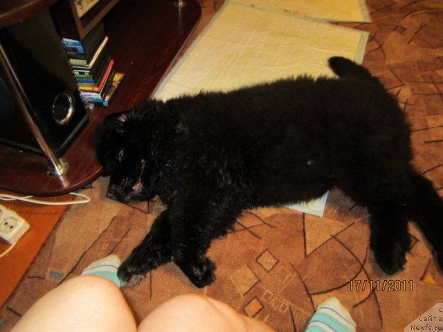 Фото: Svetlana Simeonova (Светлана Симеонова)