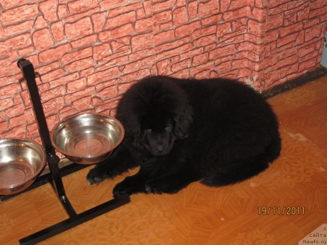 Фото: Svetlana Simeonova (Светлана Симеонова)