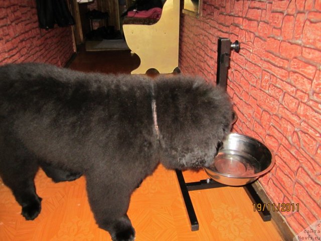 Фото: Svetlana Simeonova (Светлана Симеонова)