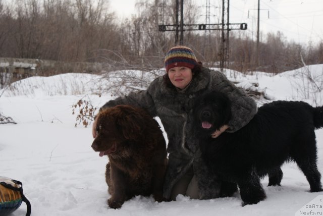 Фото: ньюфаундленд Garmoniya (Гармония), ньюфаундленд YUnita Barhatnaya noch' (Юнита Бархатная ночь), Ol'ga Mihaylova (Ольга Михайлова)