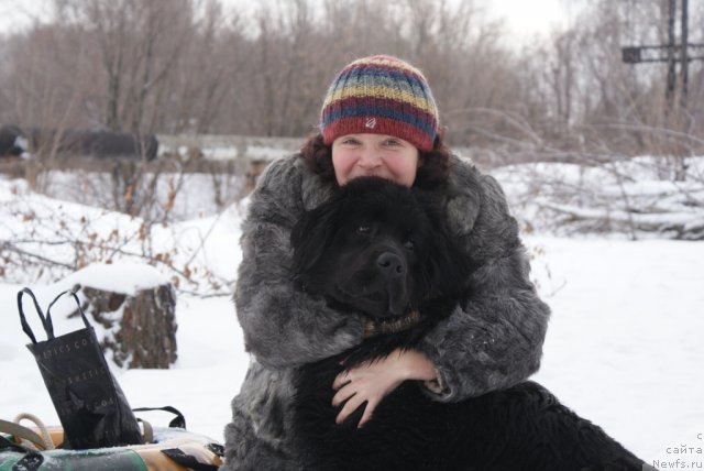 Фото: ньюфаундленд YUnita Barhatnaya noch' (Юнита Бархатная ночь), Ol'ga Mihaylova (Ольга Михайлова)