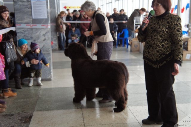 Фотография № 85113