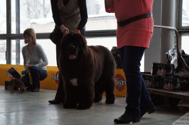 Фотография № 85118