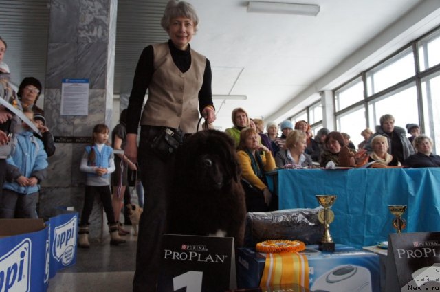 Фотография № 85119