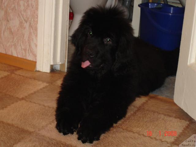 Фото: Denis Klimonov (Денис Климонов)