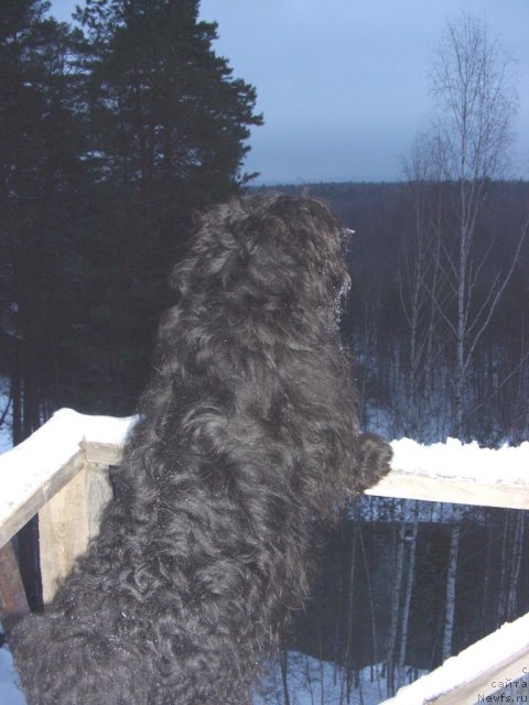 Фотография № 85232