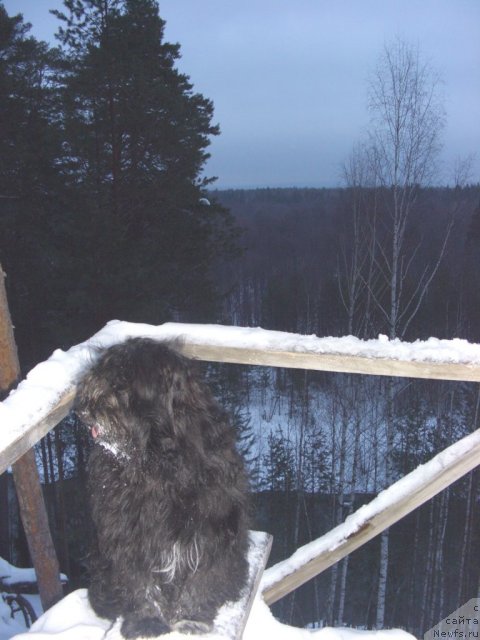 Фотография № 85233