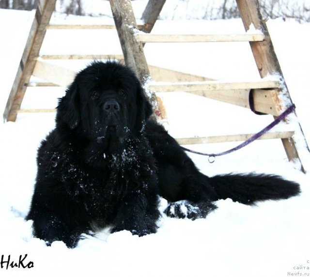 Фотография № 85316