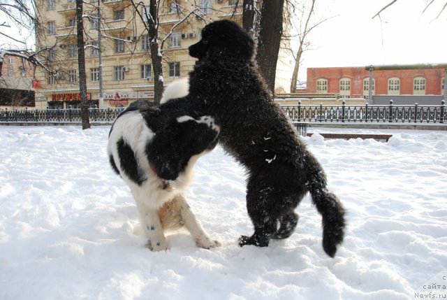 Фотография № 85346