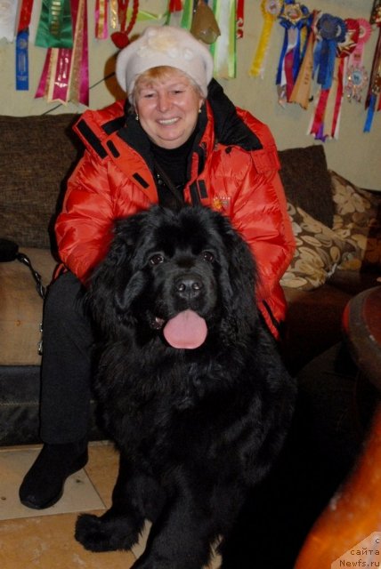 Фотография № 85388