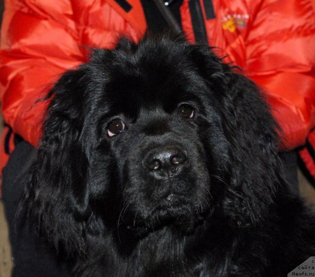 Фотография № 85391