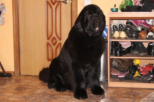 Фотография № 85405