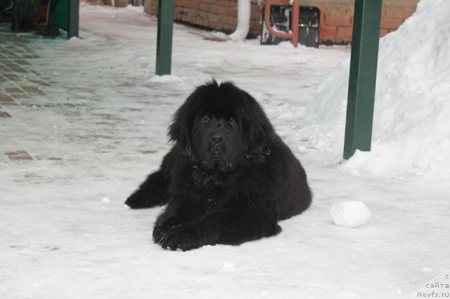 Фотография № 85413