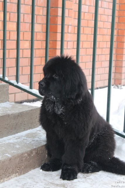 Фотография № 85415