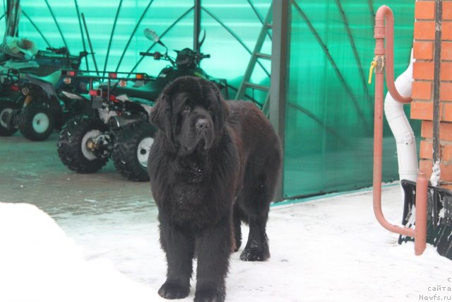 Фотография № 85417