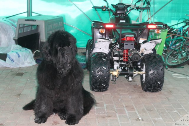 Фотография № 85422