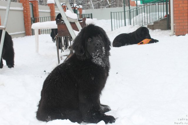 Фотография № 85426