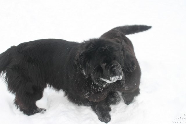 Фотография № 85431