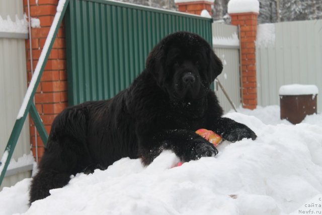 Фотография № 85432