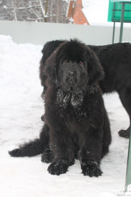 Фотография № 85433