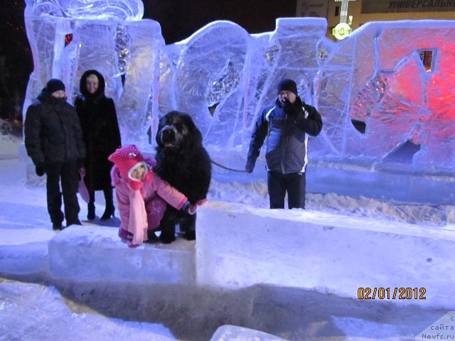 Фотография № 85478