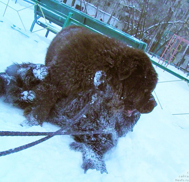 Фотография № 85528