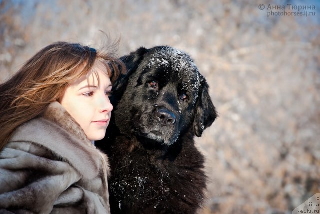 Фото: Ol'ga Tolkunova (Ольга Толкунова)