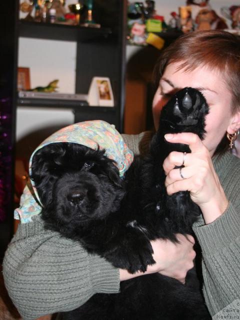 Фотография № 8565