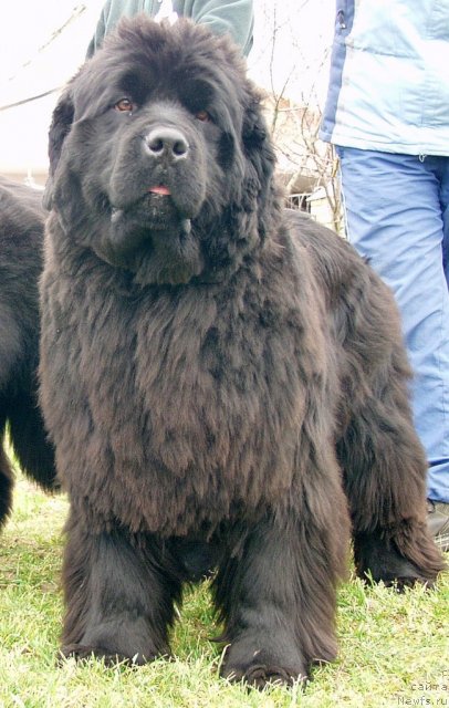 Фотография № 85684