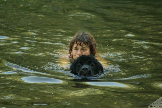 Фотография № 8573