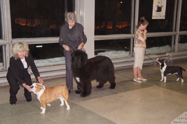 Фотография № 85757