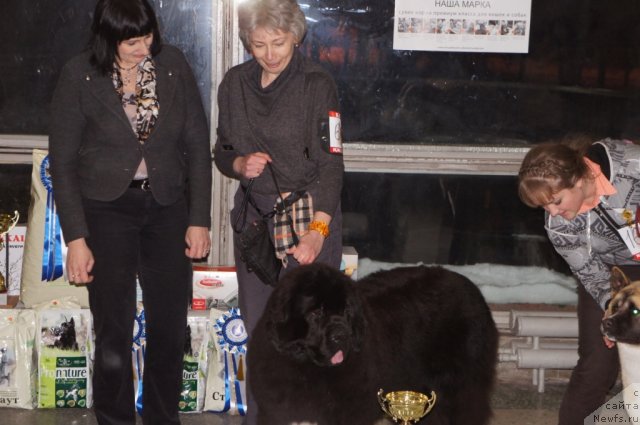 Фотография № 85758