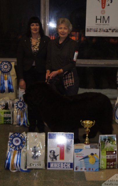 Фотография № 85759